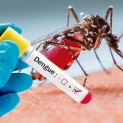 Tabasco es sexto lugar nacional en dengue