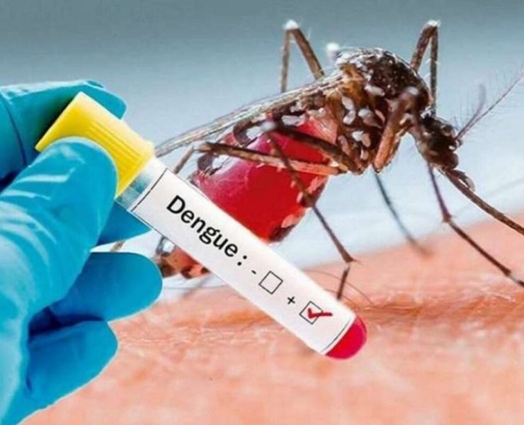 Tabasco es sexto lugar nacional en dengue