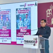 Denuncia ciudadana y Botón de Pánico: