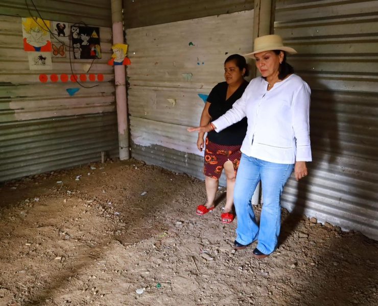 Yolanda Osuna dio inicio la construcción de pisos firmes en Acachapan y Colmena