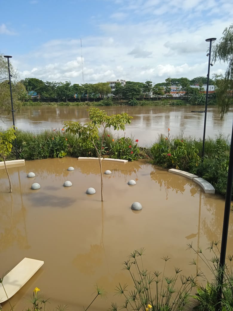 GRAFI-CASOS: Malecón Carlos Madrazo bajo el agua del Río Grijalva