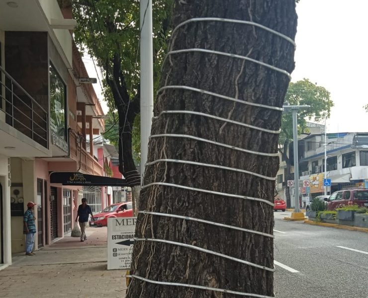 GRAFI-CASOS: Municipio de Centro adorna avenidas