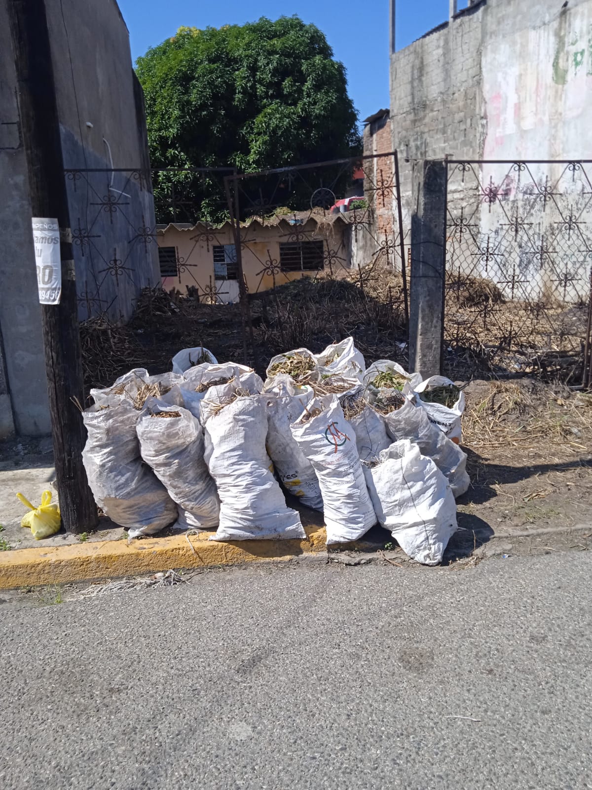 calle Anacleto Canabal de la colonia Reforma 