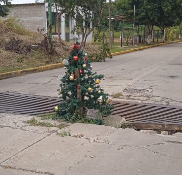 GRAFI-CASOS: Arbolitos de Navidad