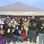 ¡Milagro de Vida! 24 perritos rescatados en Nuevo León estuvieron a punto de morir congelados