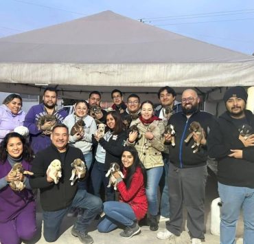 ¡Milagro de Vida! 24 perritos rescatados en Nuevo León estuvieron a punto de morir congelados