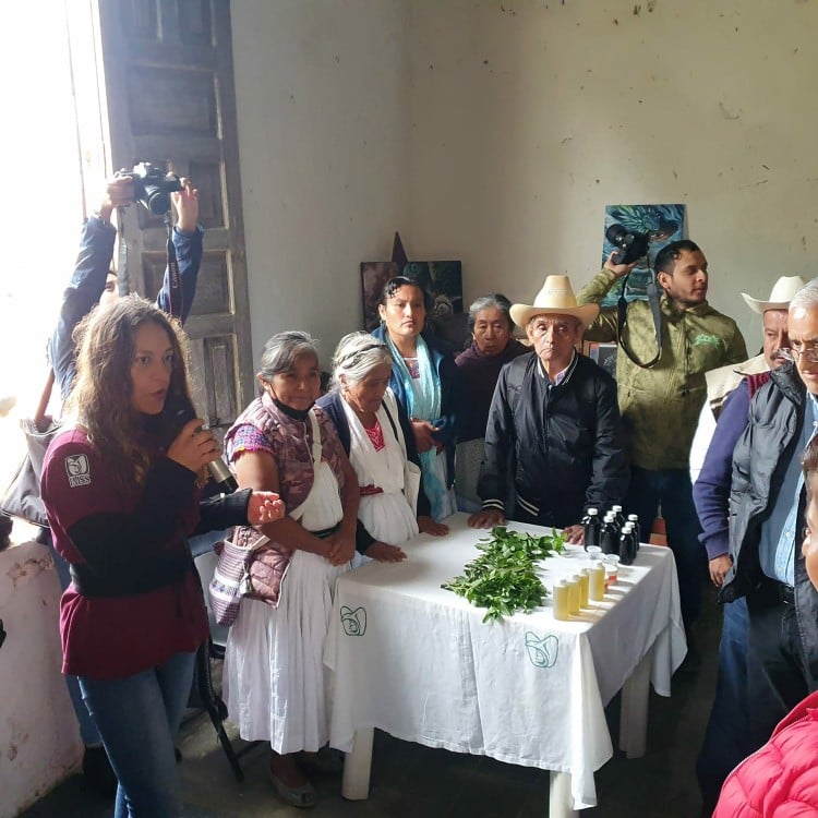 IMSS fortalece la salud integral de comunidades indígenas con enfoque cultural y social