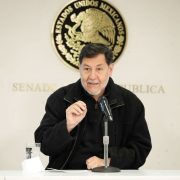 Senado listo para retomar selección de candidatos tras fallo del TEPJF: Fernández Noroña