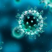 Usan virus para combatir superbacterias resistentes a antibióticos