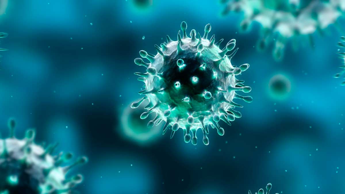 Usan virus para combatir superbacterias resistentes a antibióticos