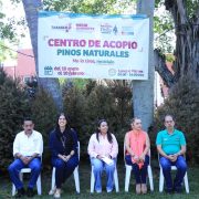 XVI Reciclatón de Pinos Naturales