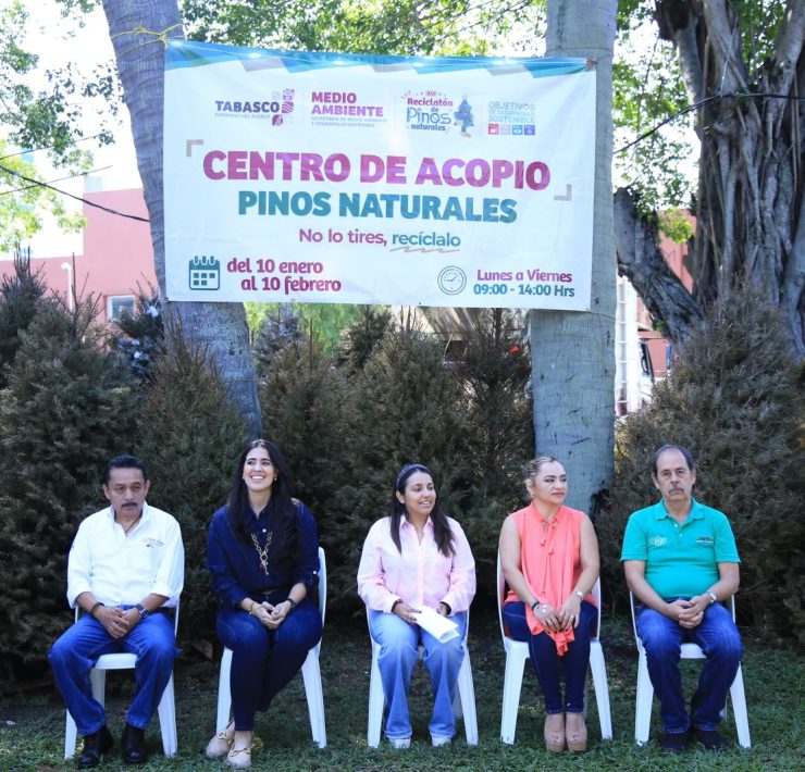 XVI Reciclatón de Pinos Naturales