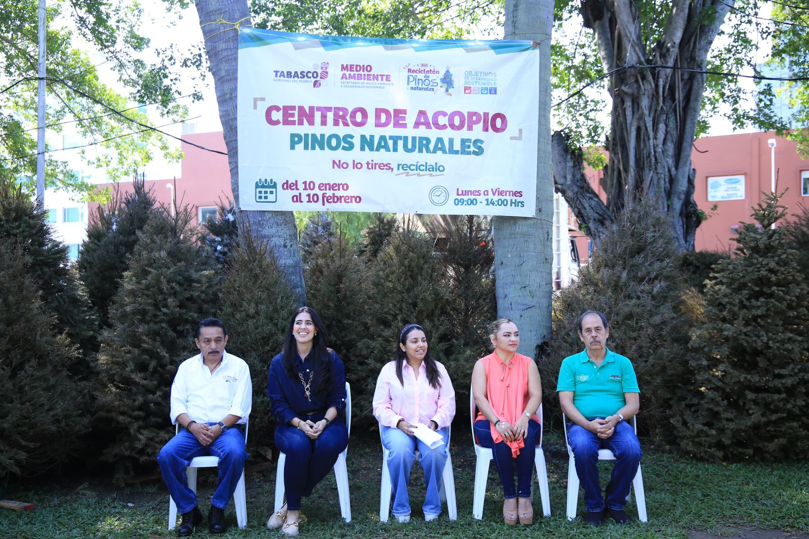 XVI Reciclatón de Pinos Naturales