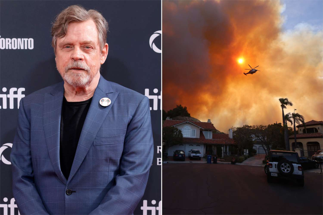 celebridades afectadas por los incendios forestales en Hollywood