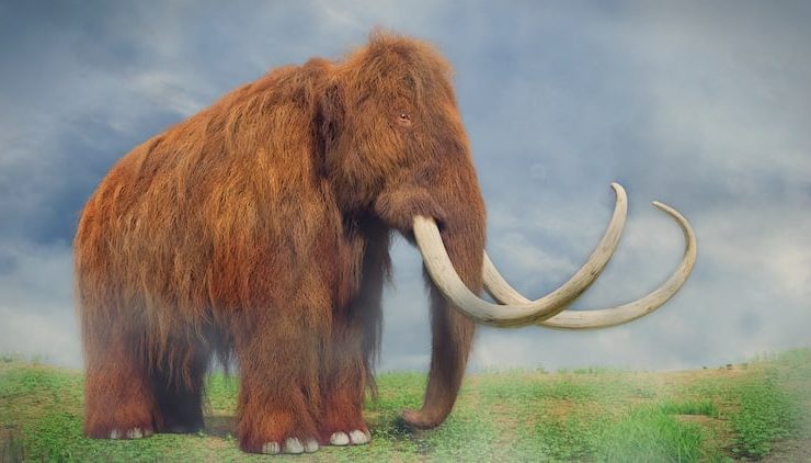 Planean revivir al mamut para el 2028. El futuro de la ciencia