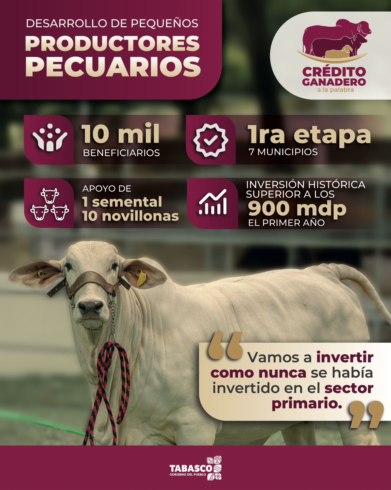 Productores Precuarios