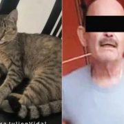 Detienen a sujeto por crueldad animal contra la gatita "Julien"