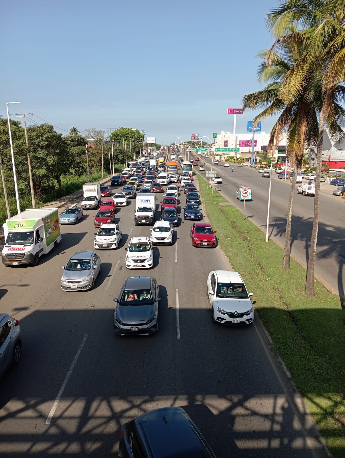 circulación vehicular de la avenida Ruiz Cortines