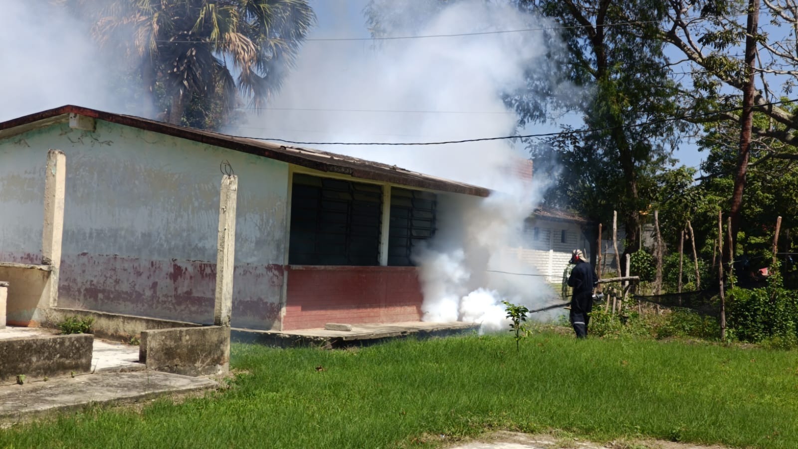 Acciones contra el dengue