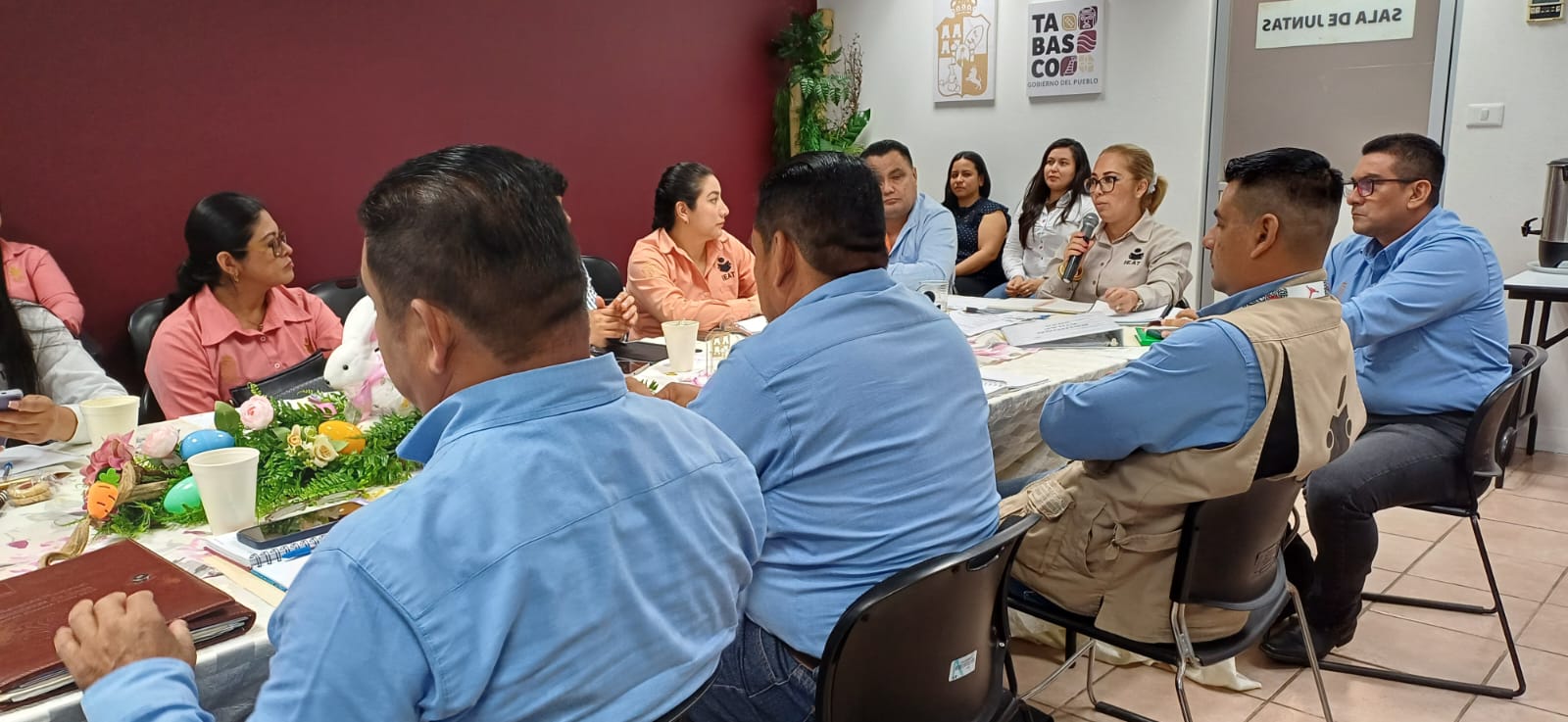 Instituto de Educación para Adultos de Tabasco 