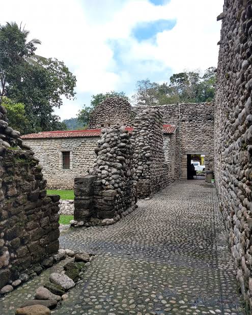 LÁGRIMAS DE COCODRILO