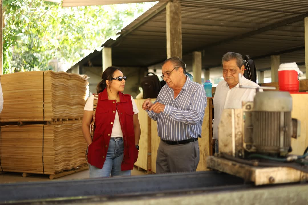 plantaciones de hule en Palenque