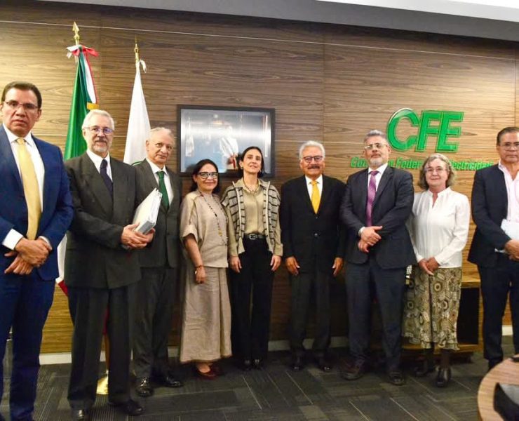 Reglas de Operación en la CFE