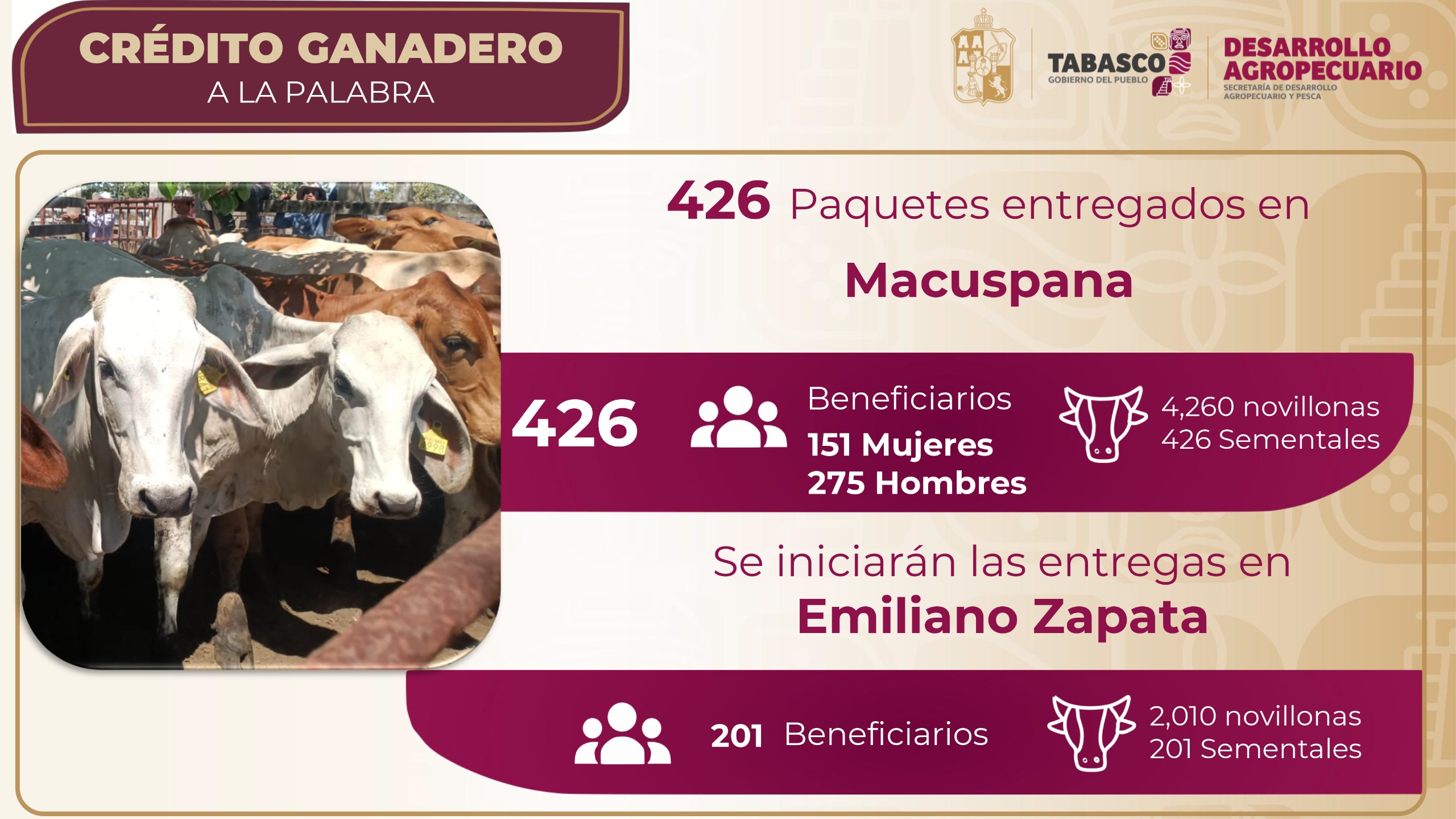 426 sementales