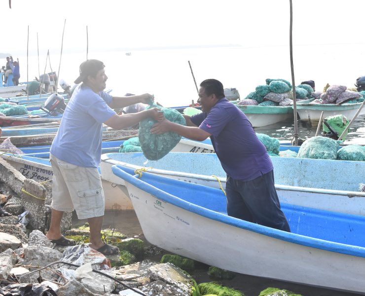 Logrará “Pescando Vida” resurgimiento del puerto Sánchez Magallanes