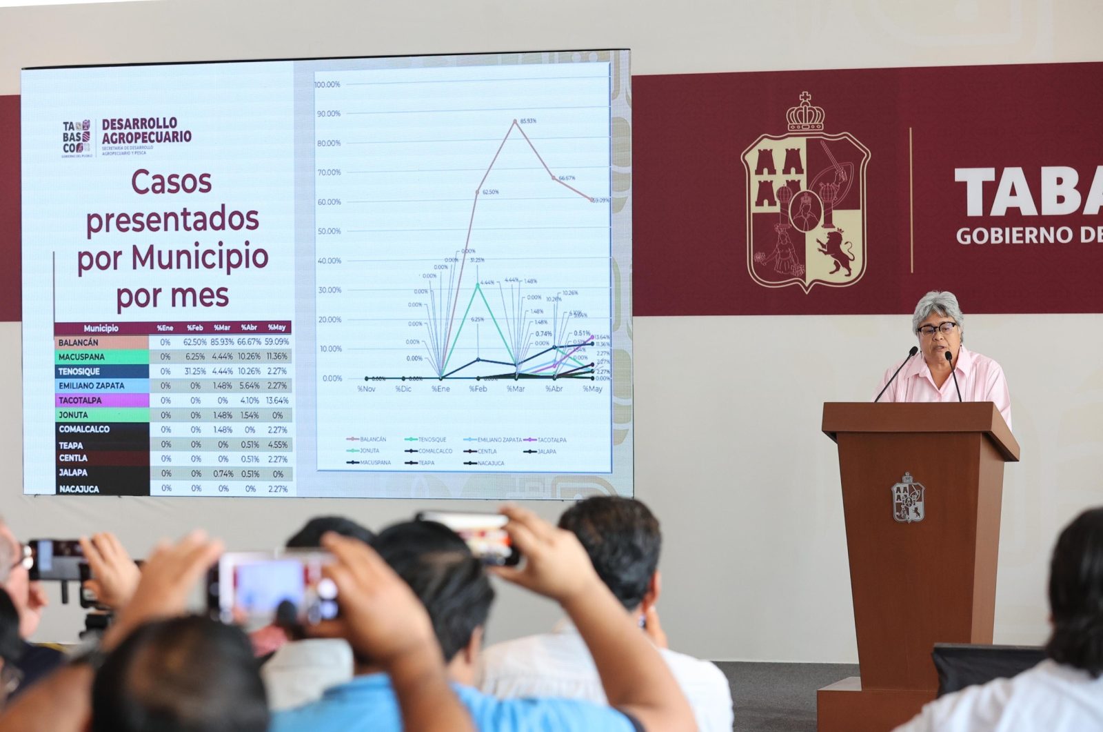 casos de gusano barrenador