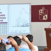 casos de gusano barrenador