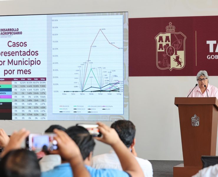 casos de gusano barrenador