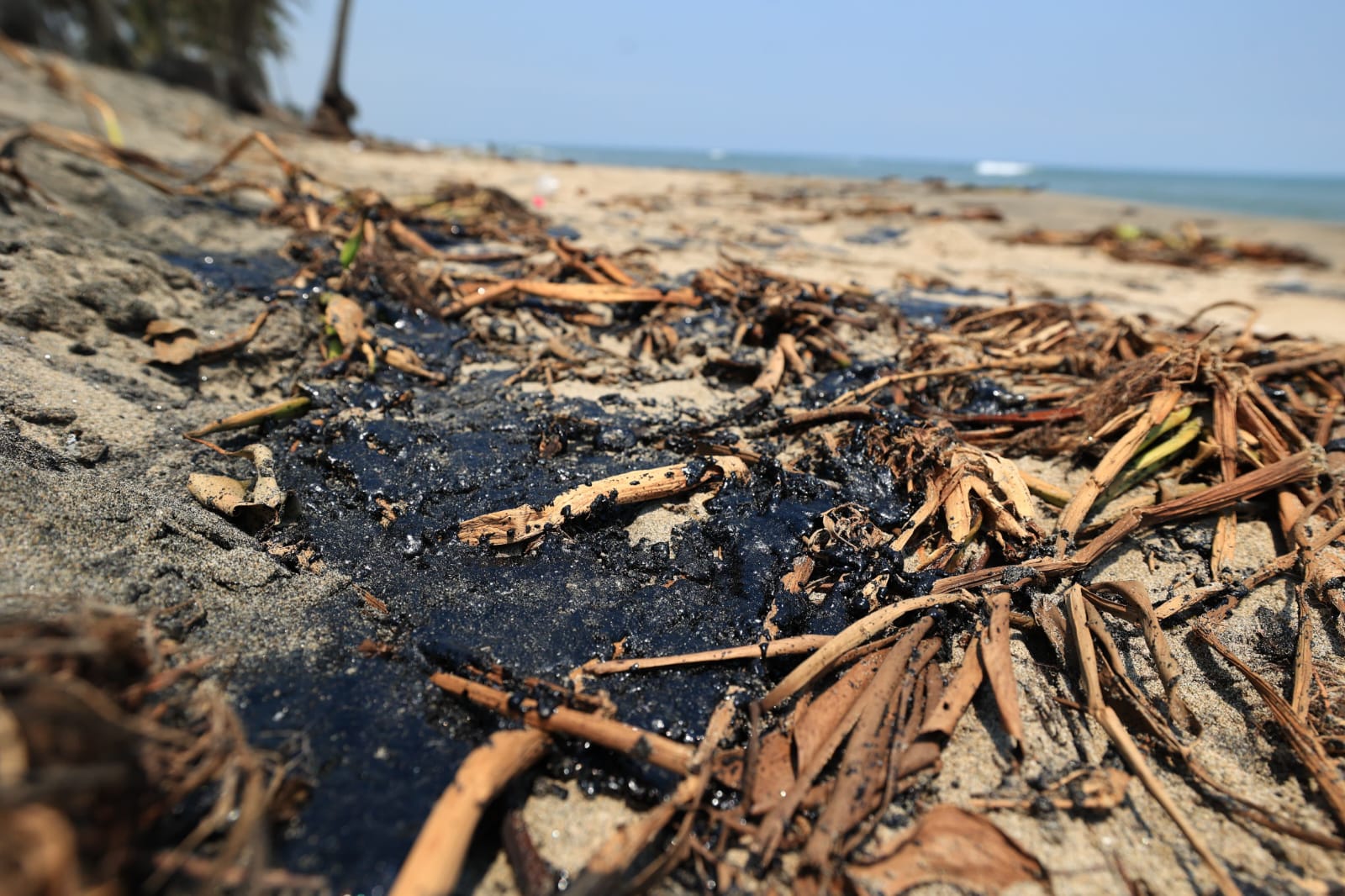 derrame de hidrocarburo frente a costas de Paraíso