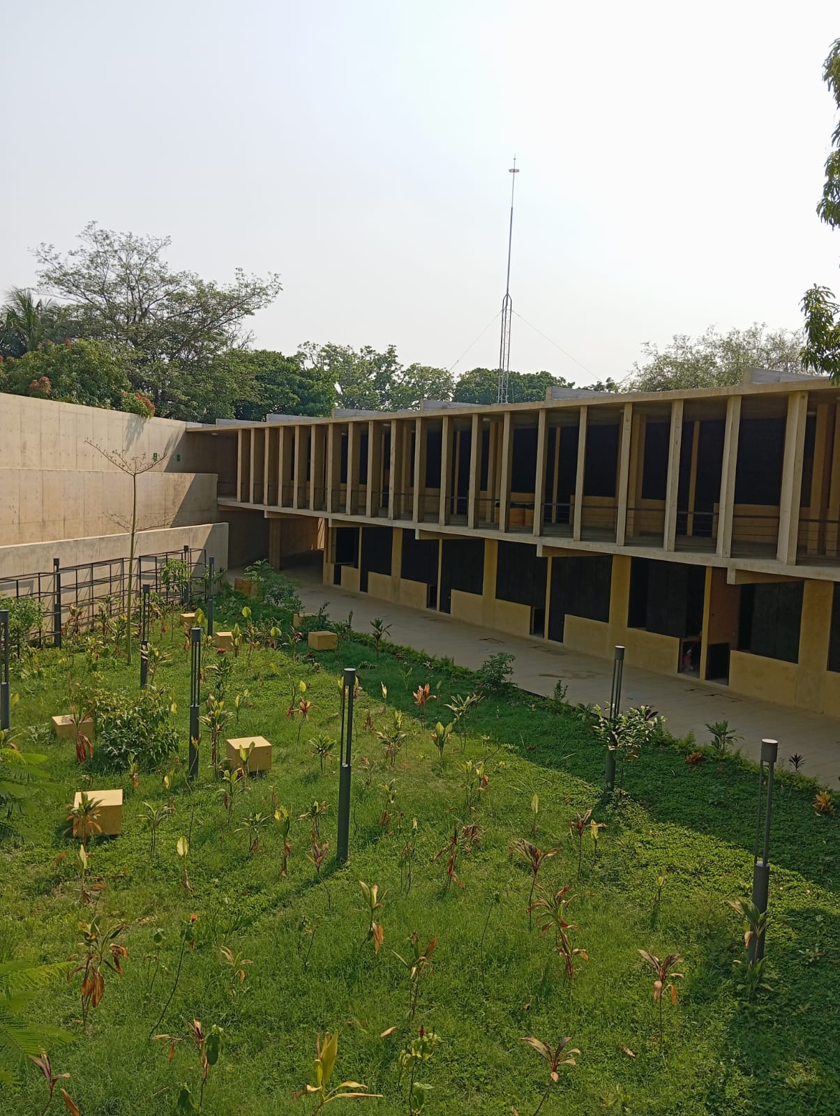 jardín con que cuenta el nuevo mercado de Las Gaviotas