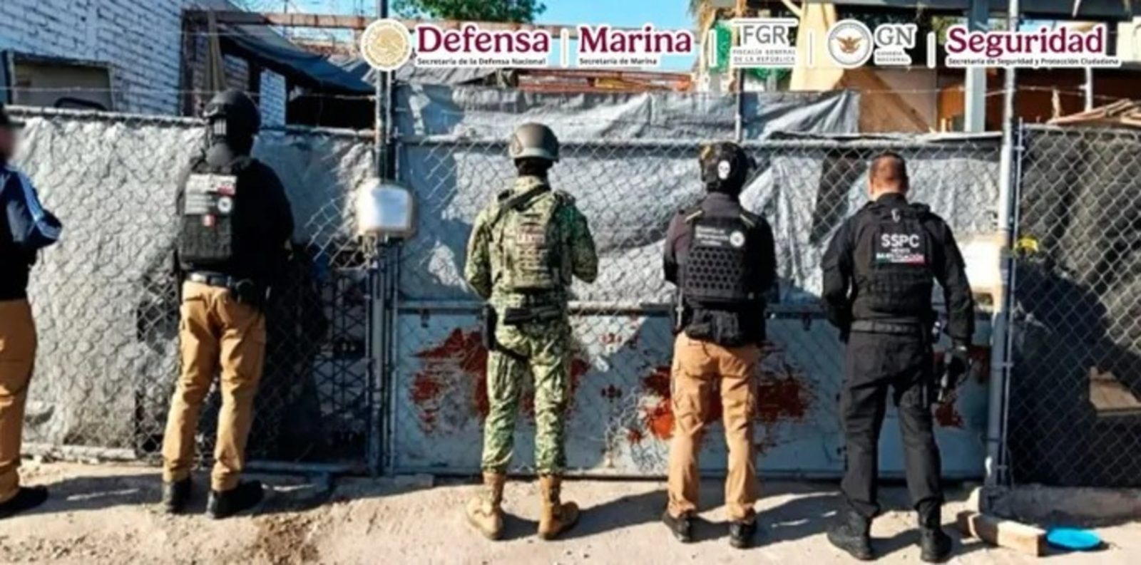 las fuerzas federales de seguridad