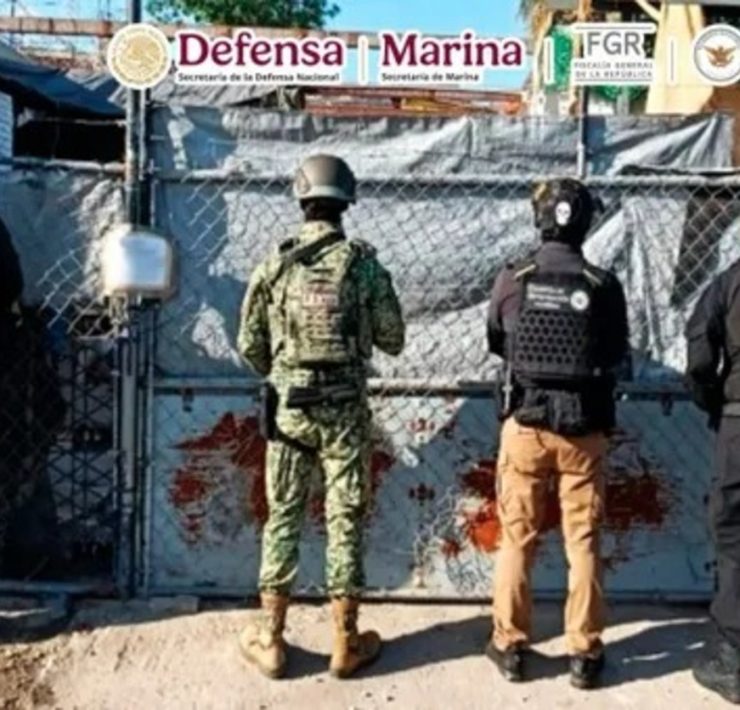 las fuerzas federales de seguridad