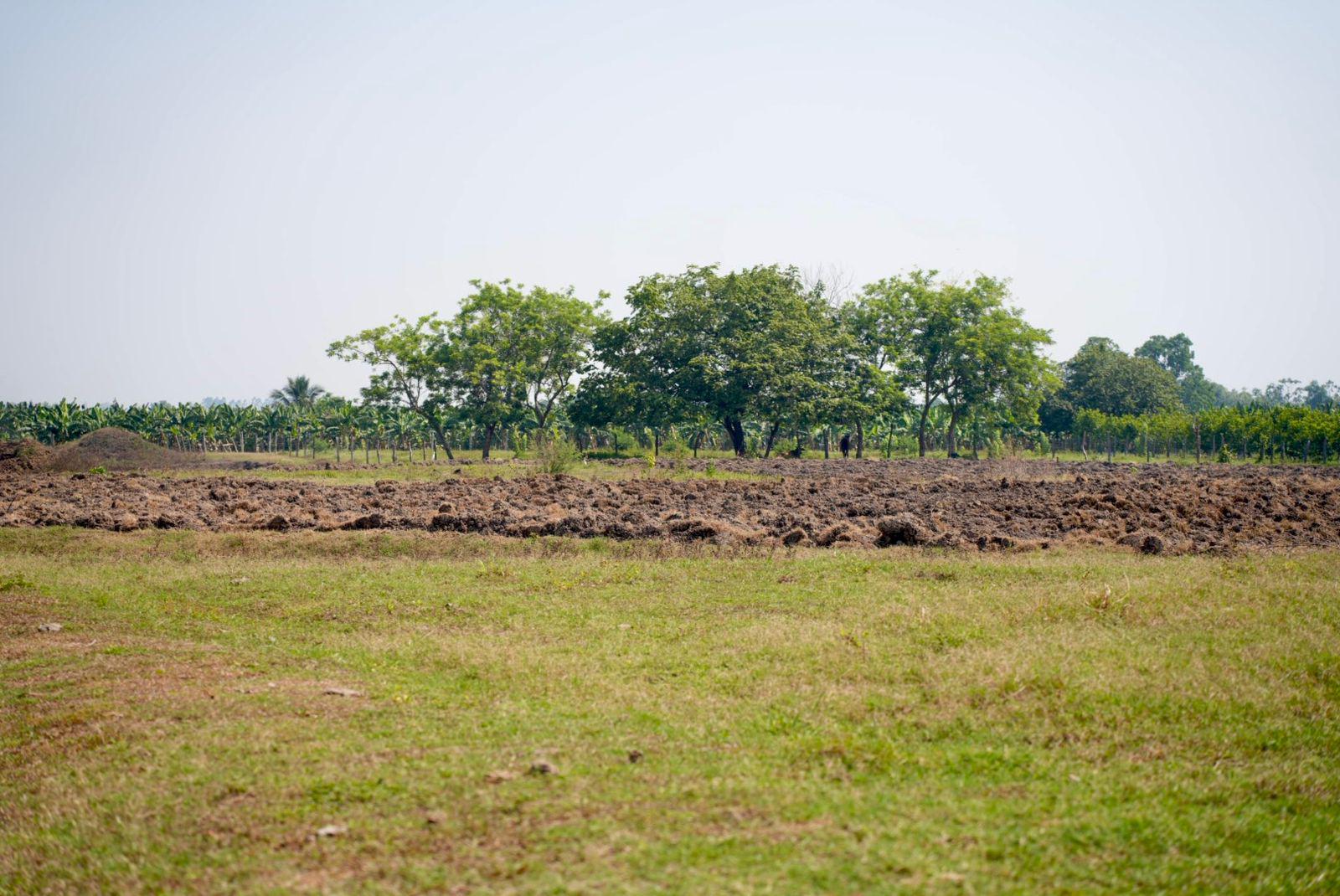 salida de los tractores