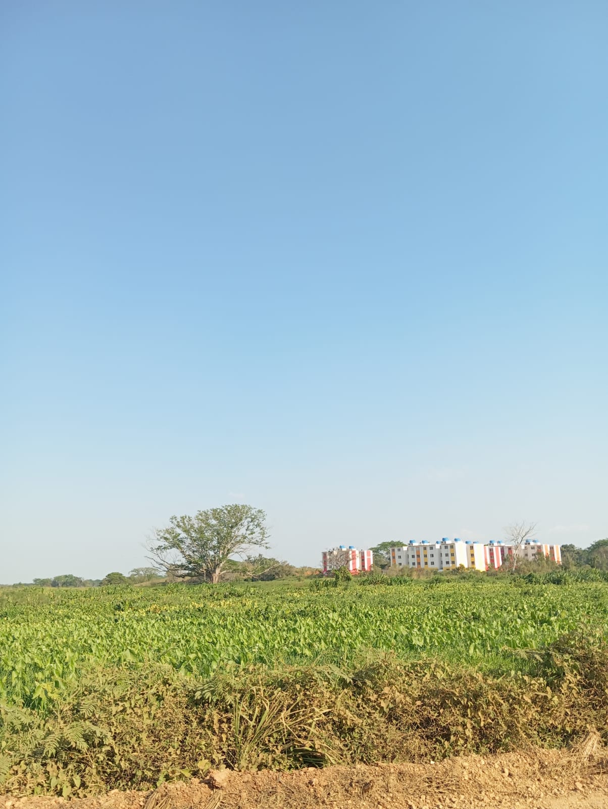 zona de El Agave