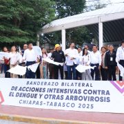 Activan acciones intensivas conjuntas Tabasco y Chiapas contra el Dengue