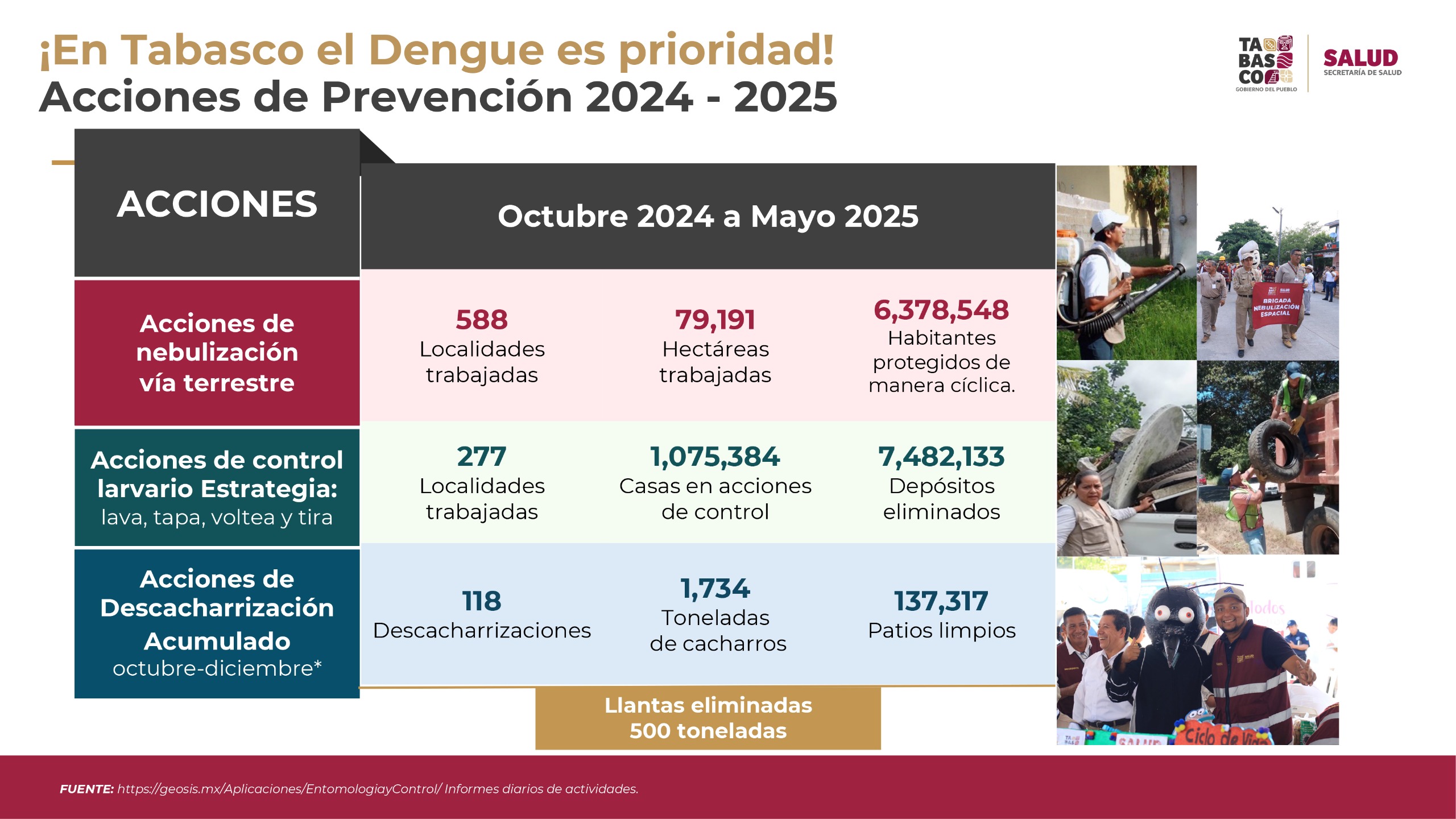 Casos de dengue