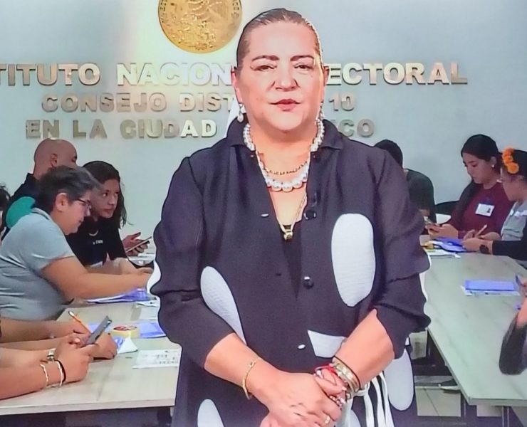 participación ciudadana en elección judicial