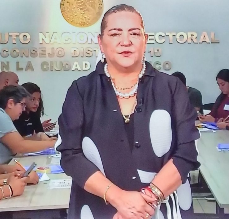 participación ciudadana en elección judicial