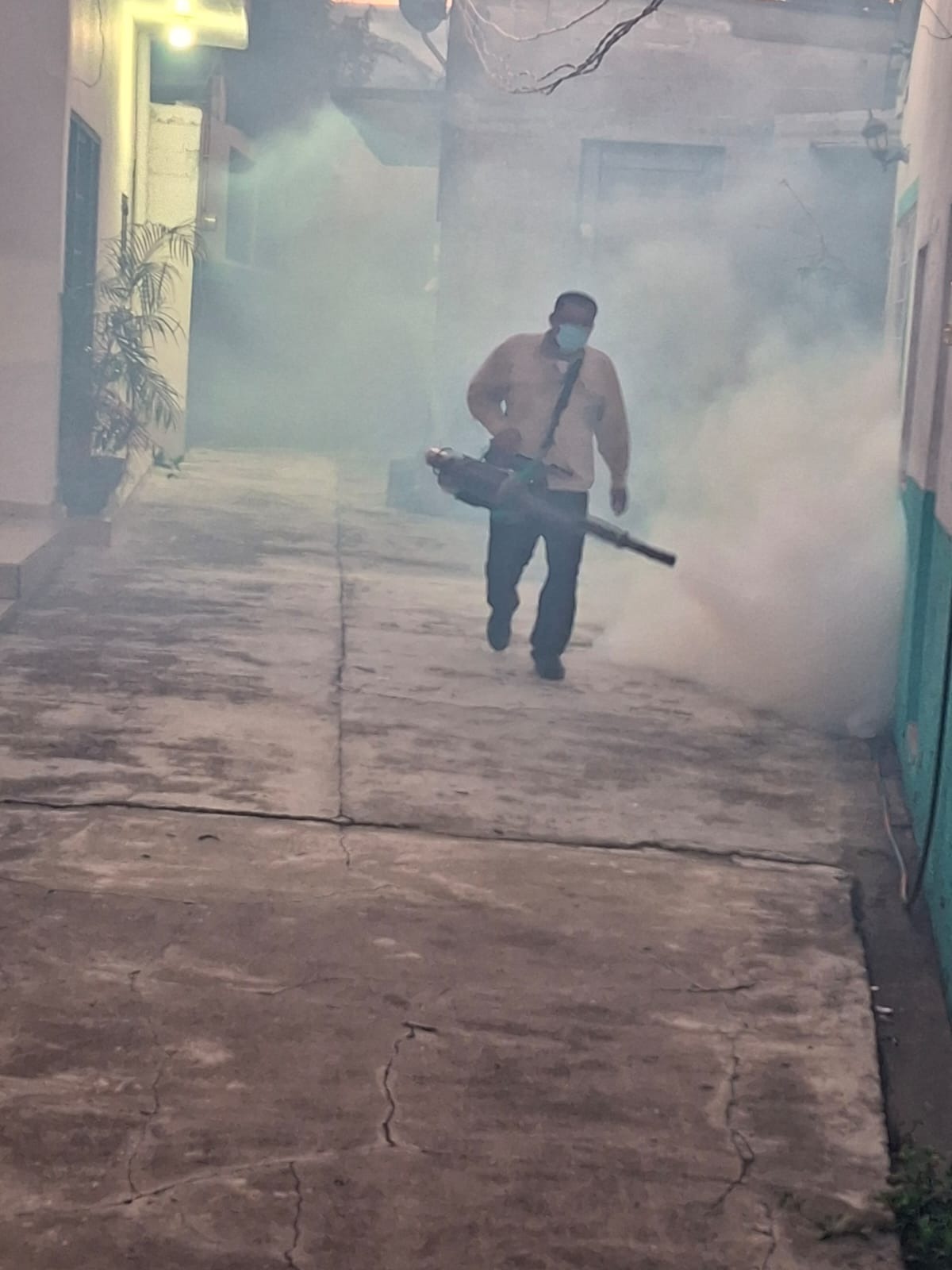 Tabasco en primer lugar nacional por incidencia de dengue