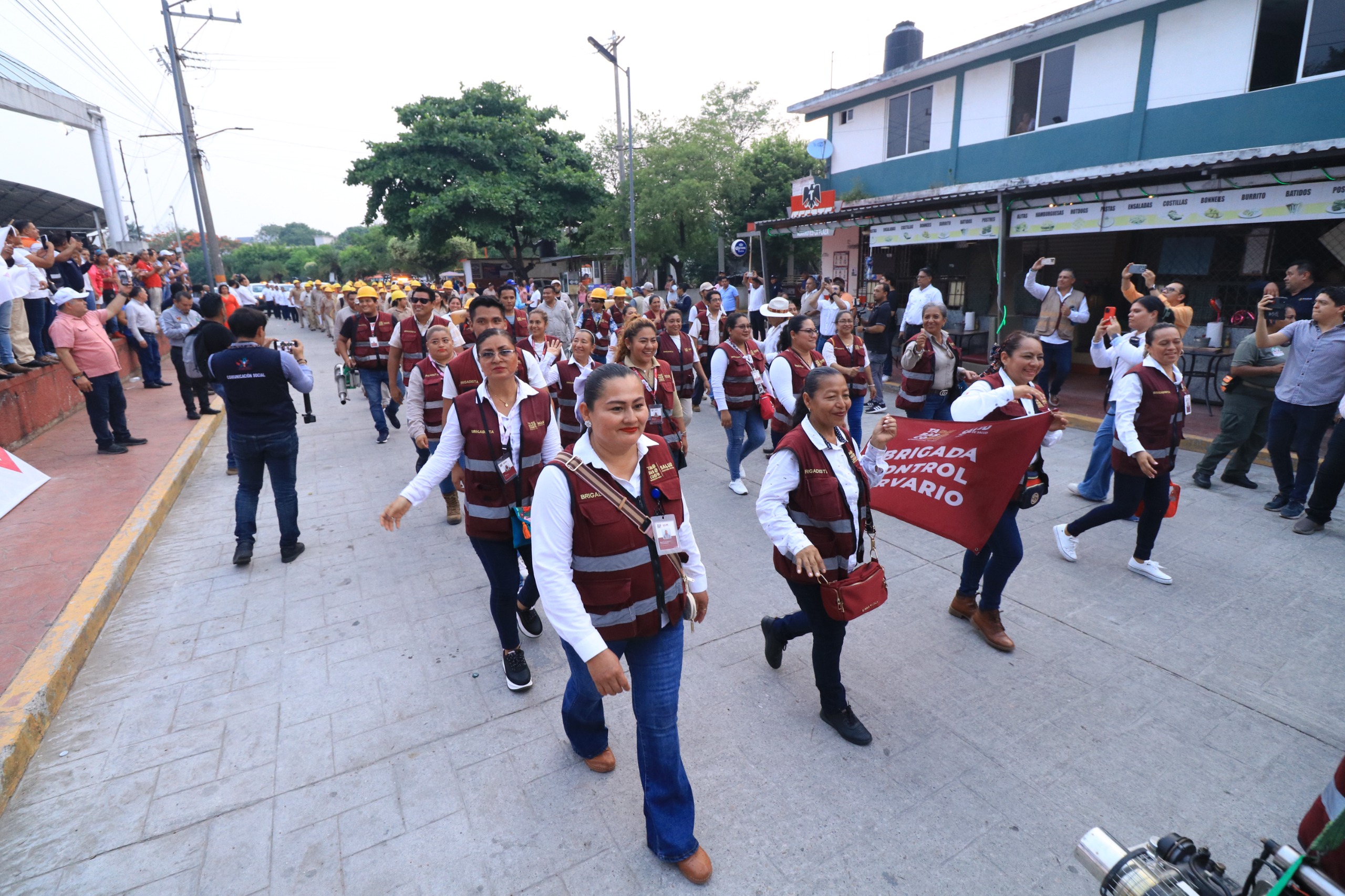 mitigar las enfermedades