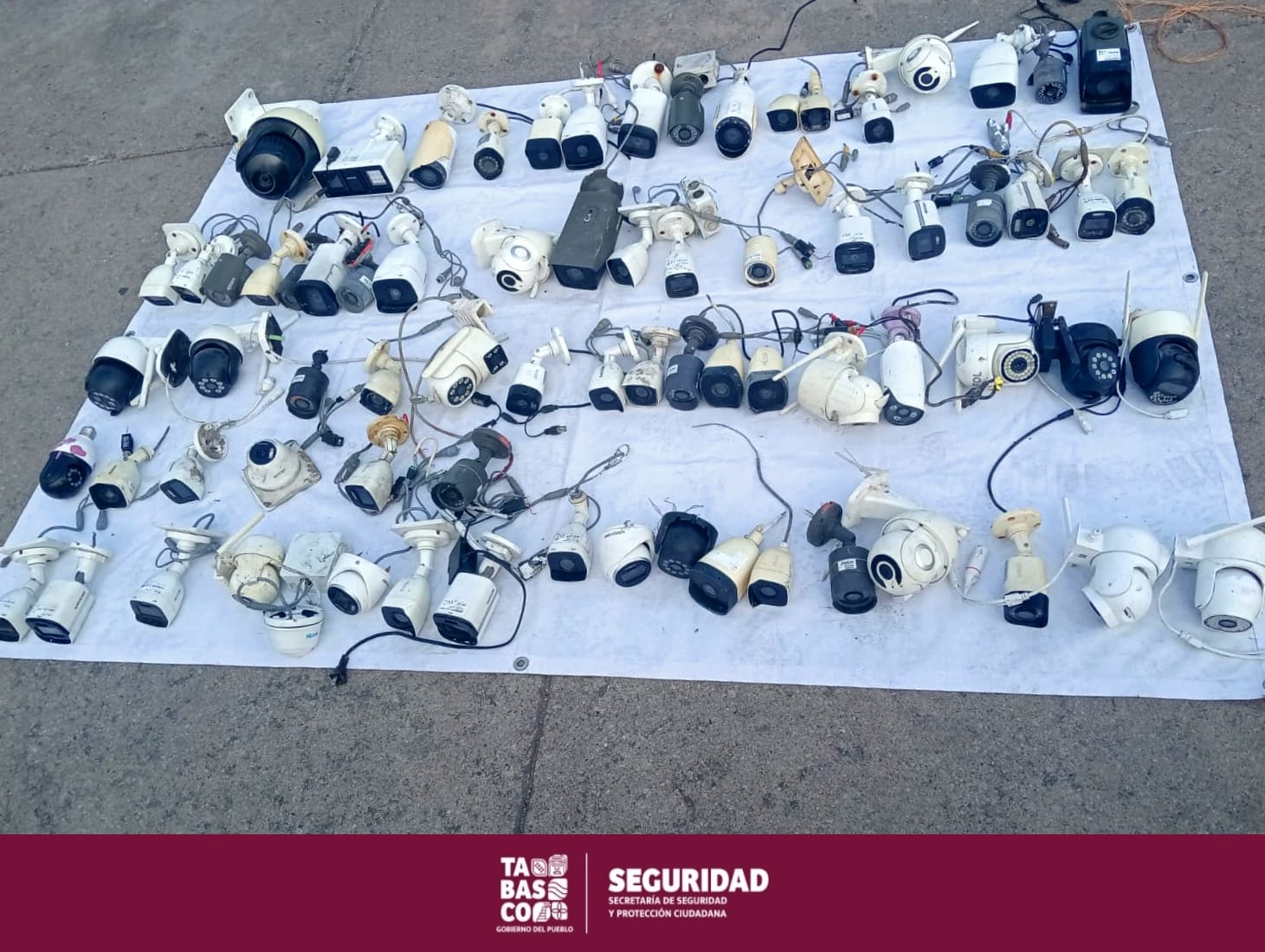 Operativo “Halcón Ciego”