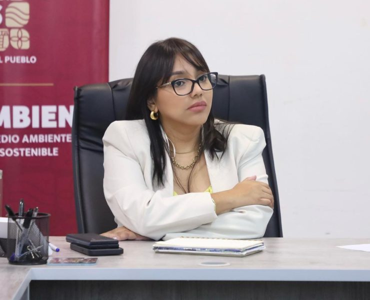 Entregarán a gobernador de Tabasco diagnóstico de rehabilitación de red eléctrica