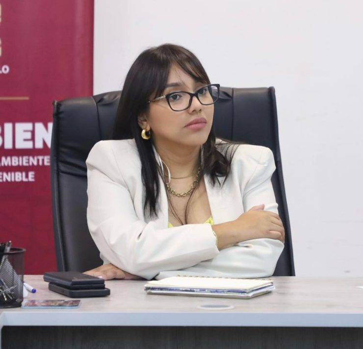 Entregarán a gobernador de Tabasco diagnóstico de rehabilitación de red eléctrica