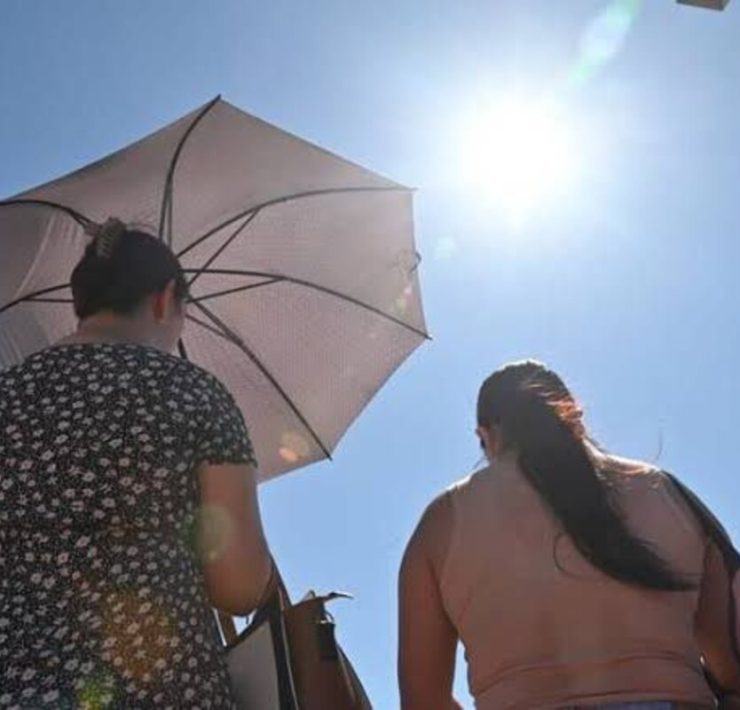 Vuelven los calores