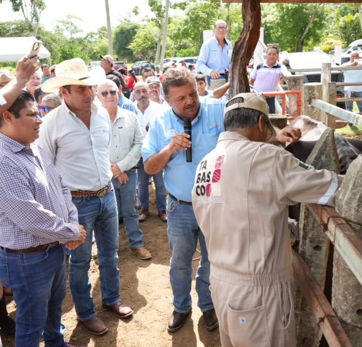 Arranca el Barrido Sanitario en Jalpa de Méndez