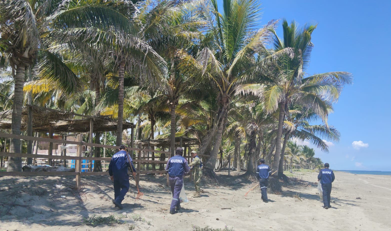 Marina impulsa la limpieza de playas y costas en Tabasco